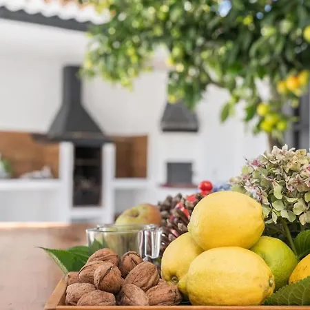 El Patio Del Naranjo By Canarias Homelidays *
